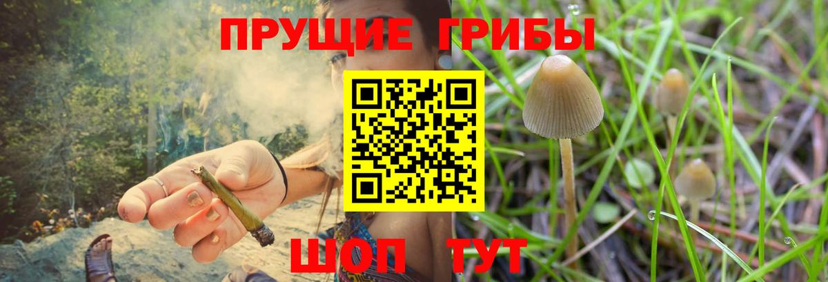 Приморско-Ахтарск  Псилоцибиновые грибы мицелий  Псилоцибиновые грибы прущие грибы  Вход с VPN 