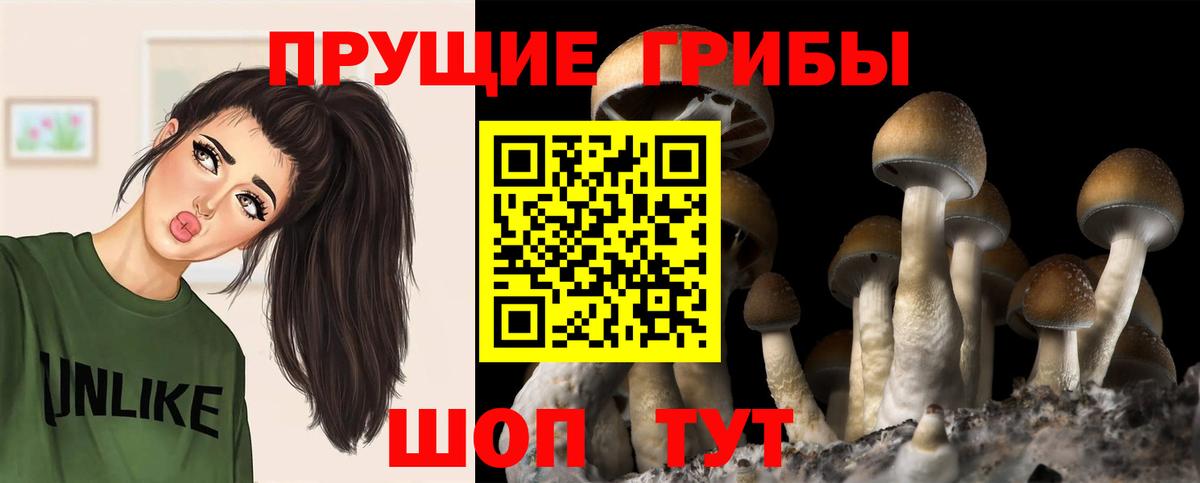 Псилоцибиновые грибы Magic Shrooms Приморско-Ахтарск