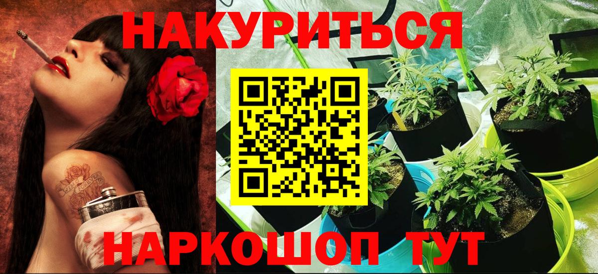 Бошки Шишки сатива  Канабис LSD WEED  Вход с VPN  МАРИХУАНА планчик  МАРИХУАНА AK-47  Приморско-Ахтарск 